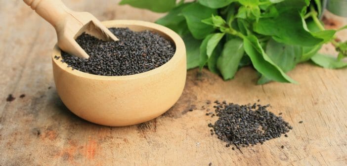 basilic graines 100g