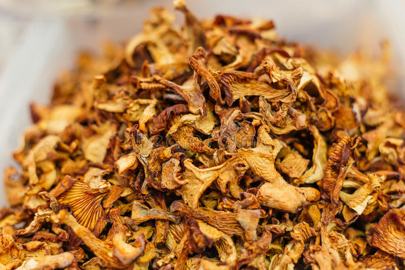 chanterelles séchées 1kg