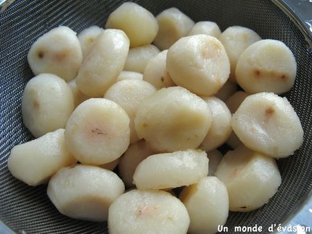 châtaigne d'eau 567g