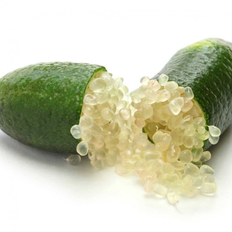 citron caviar frais 1kg