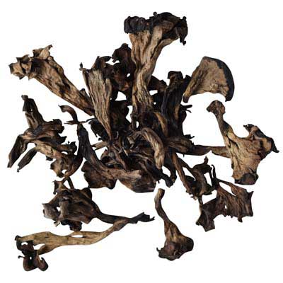 cornes d'abondance séchées 1kg