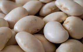 haricots blancs géants soissons 5kg