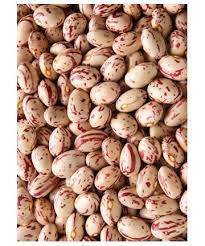 haricots secs Borlotti GRTA 5kg