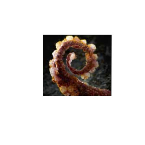 kroepoek forme poulpe saveur Kimchi 215pc