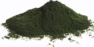 chlorella poudre bio 200g