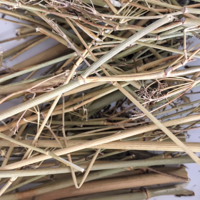 fenouil en branches 1kg