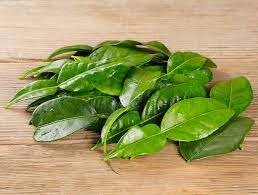 feuilles de citron keffir surgelées 100g