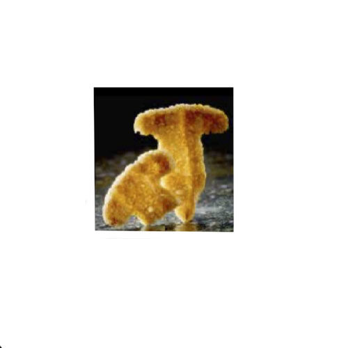 kroepoek forme champignon 175pc