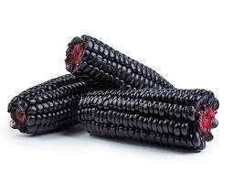 maïs morado noir 1kg