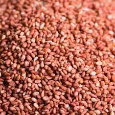 sésame torréfié à la prune 1kg