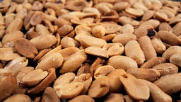 [MO-SMCACGRISAL1KG] cacahuètes grillées salées 1kg