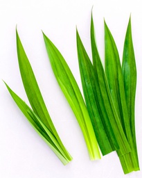 [MO-VTFEUPANFRA1KG] feuilles de pandan fraîches 1kg