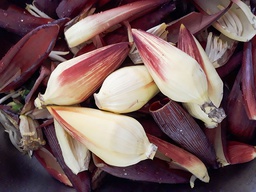 [MO-THFLEBAN1KG] fleur de bananier fraîche 1kg