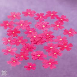 [MO-NIFLEVERROS] fleurs de verveine rose séchées (50f)