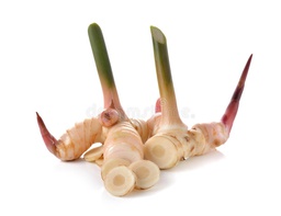 [MO-THGALFRA1KG] galanga frais racine 1kg