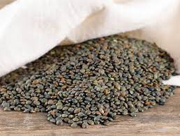 [MO-ALLENVERPUY500] lentilles vertes du Puy 500g