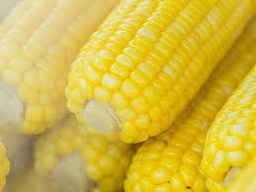 [MO-ALMAIBAR1KG] maïs BBQ 1kg