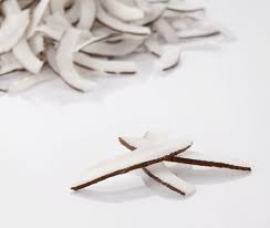 [MO-RVNOICOCLAMFINBIO1KG] noix de coco lamelles fines bio 1kg