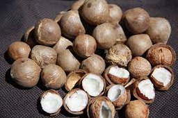 [MO-BRMINNOICOC80G] noix de coco mini 80g