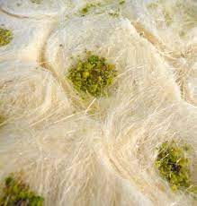 [MO-PABARAPAP400] pâtisserie barbe à papa libanaise 400g