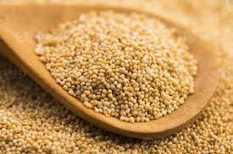 [MO-MUPAVBLAENT1KG] pavot blanc entier 100g