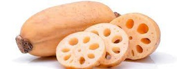 [MO-THRACLOTFRA1KG] racine de lotus fraîche 1kg