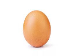 [DP-ALOEUFSUISSEPCE] oeuf Suisse pce