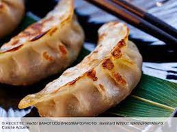 [MO-FOGYOPOUSUR600] gyoza poulet surgelés (30p x 20g)