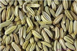 [MO-SHFENGRA1KG] fenouil en graines 1kg