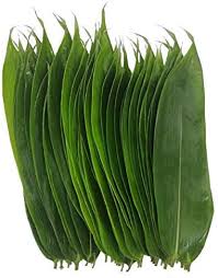 [MO-FOPFEUBAM100] feuilles de bambou (100pc)