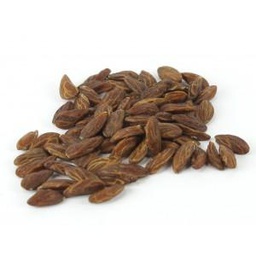 [MO-TLNOYOLILYO1KG] graines d'olives 1kg