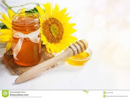 [MO-HVMIETOUBIO500A] miel de tournesol 500g