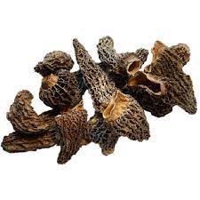 [MO-EOMORJUMSEC1KG] morilles Jumbo séchées à farcir 1kg