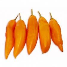 [MO-TOPIMAMASUR1KG] piment aji amarillo surgelé 1kg